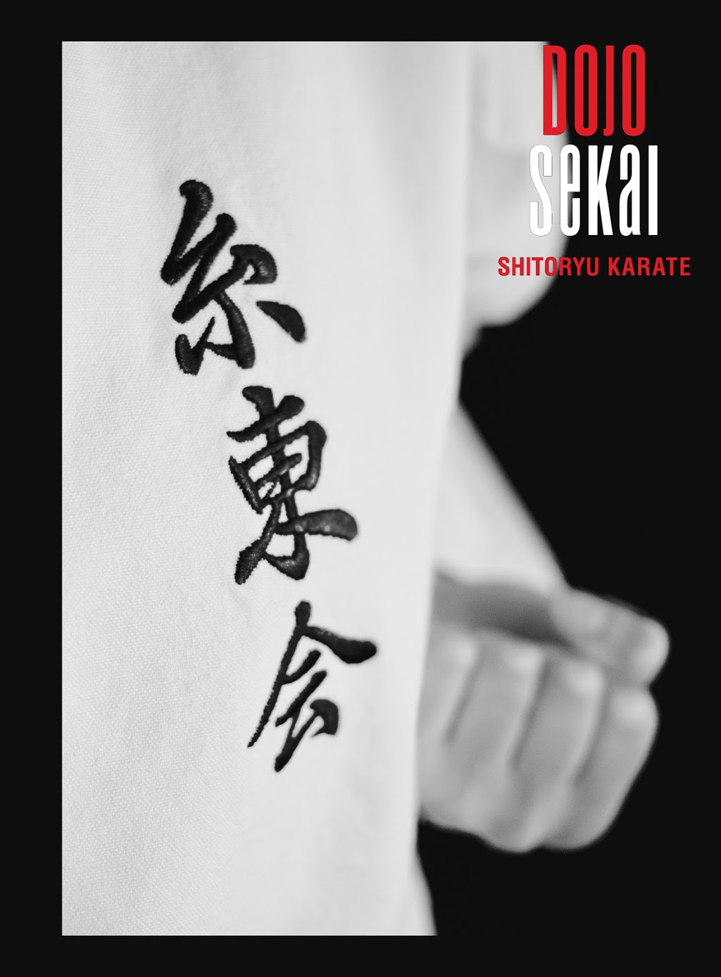 Dojo Sekai - Karate Shitoryu Quebec Limoilou | 1300 8e Ave, Quebec City, QC G1J 5L5, Canada | Phone: (418) 264-7737