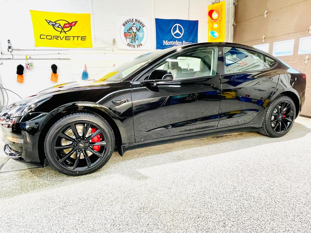 Muscle Mouse Auto Spa ( Ceramic Coating Installers) | 220 James St W Unit #4, Orillia, ON L3V 6Y3, Canada | Phone: (705) 259-2900