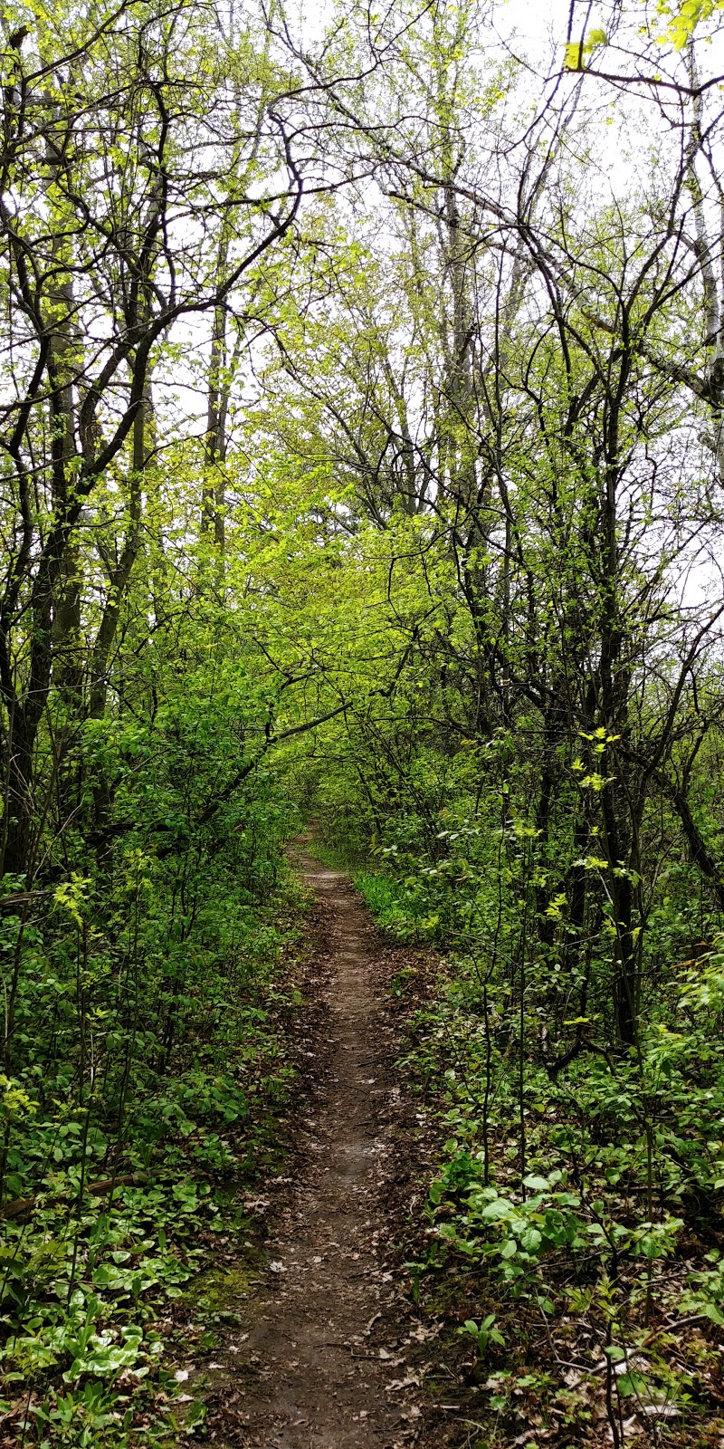 Oak Ridges Corridor, Conservation Reserve | Unnamed Road, Richmond Hill, ON L4E 5A2, Canada