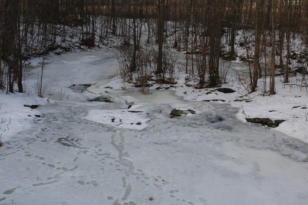 Monk Environmental Park | South March, Ottawa, ON K2K 1X7, Canada