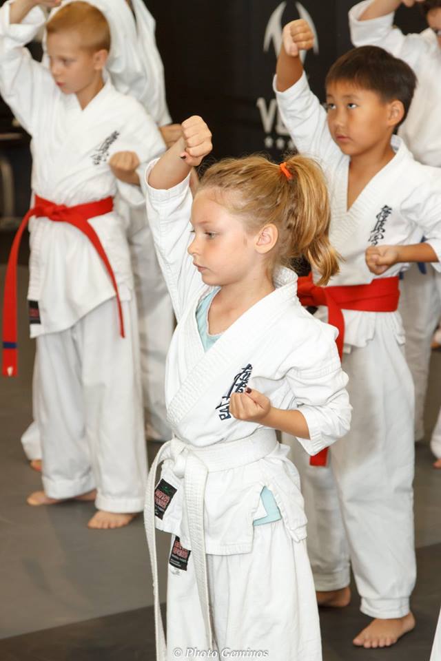 Contact Kicks Martial Arts | 1520 Steeles Ave W #119, Concord, ON L4K 3B9, Canada | Phone: (416) 723-6221