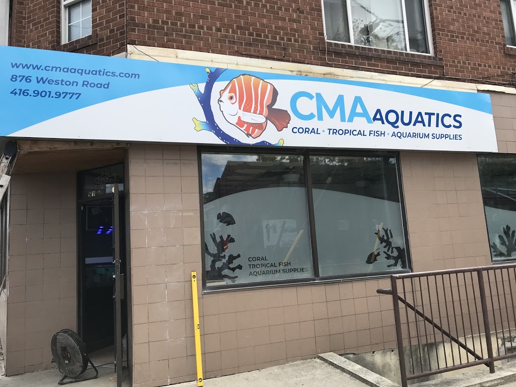 CMA Aquatics Coral | 876 Weston Rd, York, ON M6N 3R6, Canada | Phone: (416) 901-9777