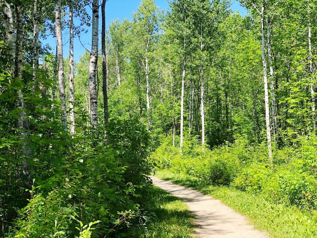 Sturgeon Falls Trail | Unnamed Rd, Pinawa, MB R0E 1L0, Canada | Phone: (204) 369-3157