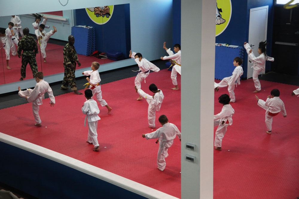 Milton Martial Arts | 509 Main St E, Milton, ON L9T 3J2, Canada | Phone: (289) 851-9000