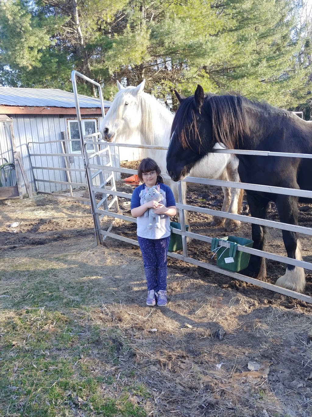 Ranch aux traits carrés | 1131 Rang Montcalm, Saint-Liguori, QC J0K 2X0, Canada | Phone: (438) 923-8173