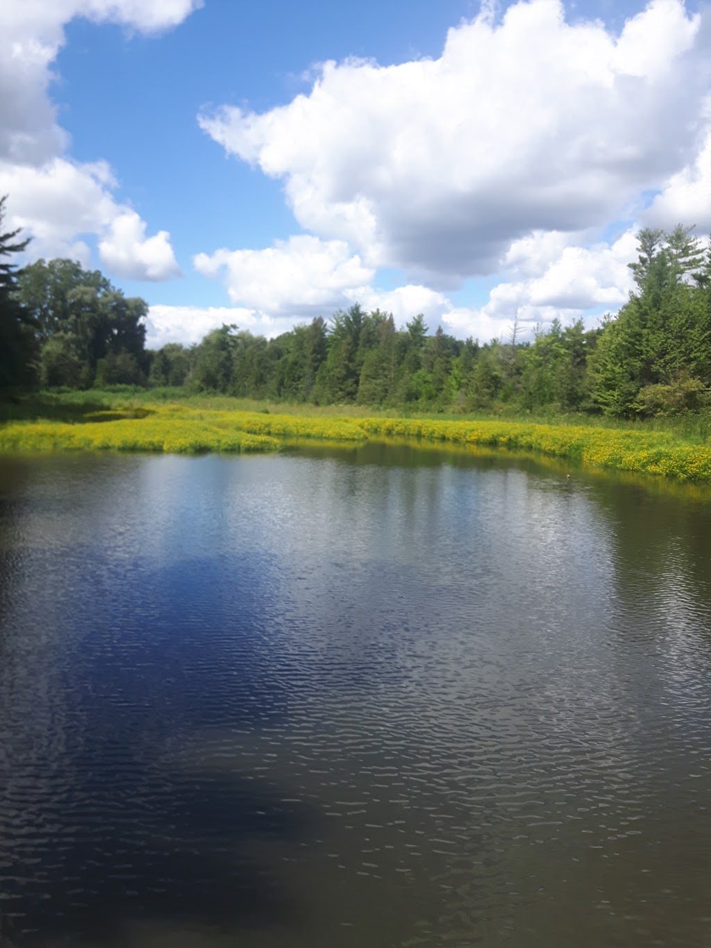 Hay Creek Conservation Area | 241 Port Ryerse Rd, Simcoe, ON N3Y 4K2, Canada