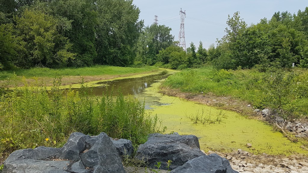 Parc de la Frayère | Boulevard Marie-Victorin, Boucherville, QC J4B 0B6, Canada