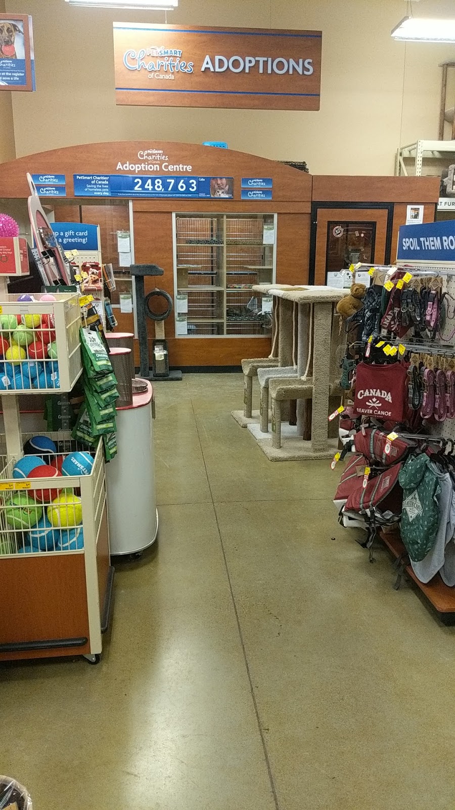 PetSmart | 2311 Appleby Line Unit 2, Burlington, ON L7L 0J3, Canada | Phone: (905) 332-7246