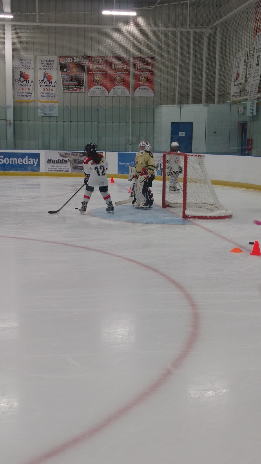 Oakville Hornets Girls Hockey Association | 1663 North Service Rd E, Oakville, ON L6H 7T1, Canada | Phone: (905) 337-8800