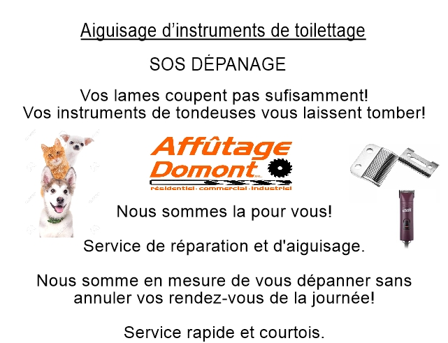 Affûtage Domont inc. | 676 Rue Rocheleau, Drummondville, QC J2C 6Y5, Canada | Phone: (819) 477-2314