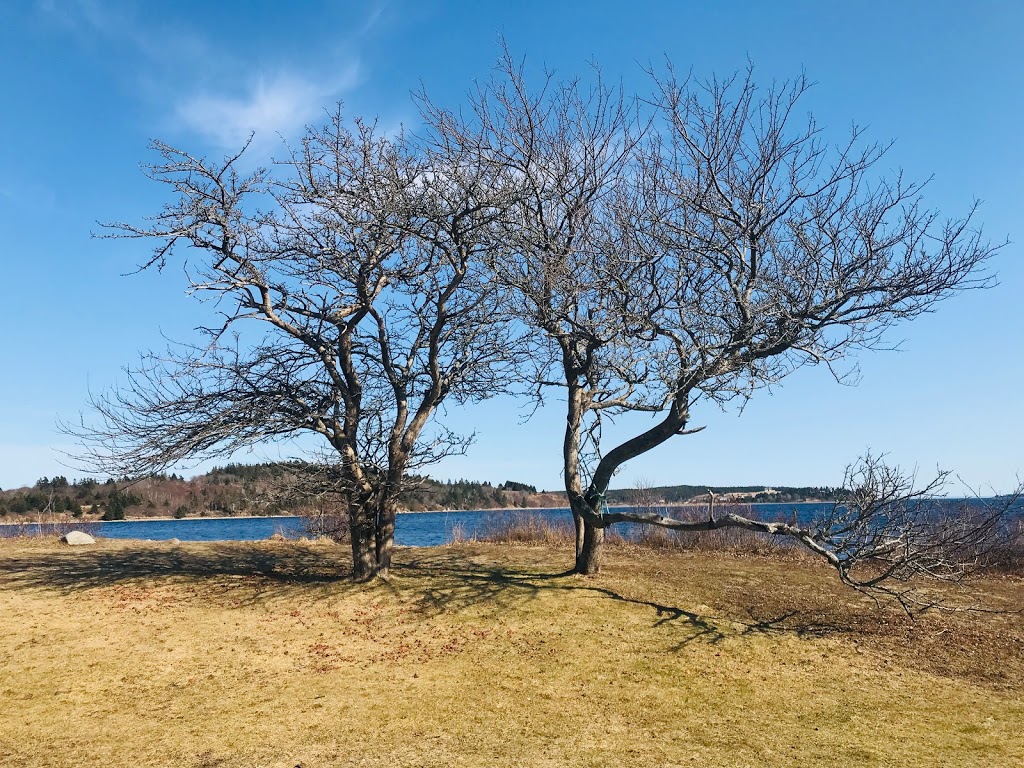 Fort Point Museum | LaHave, NS B0R 1G0, Canada | Phone: (902) 688-1632