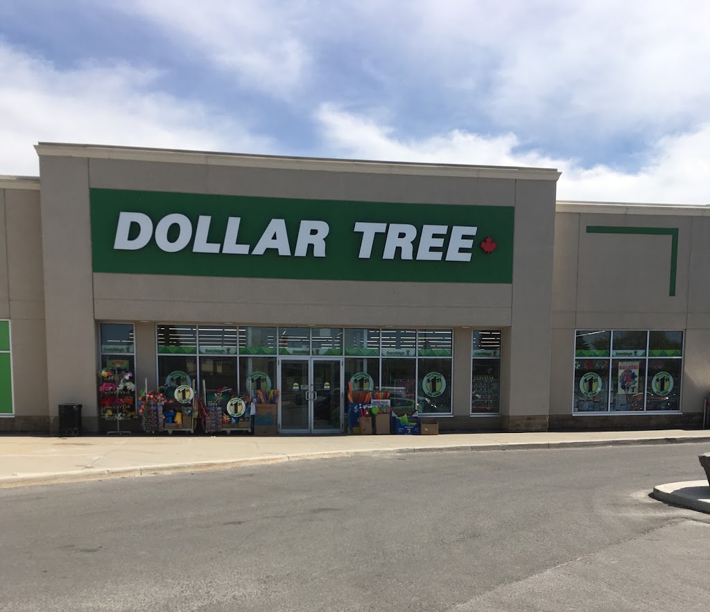 Dollar Tree | 1750 Innes Rd, Gloucester, ON K1B 3K5, Canada | Phone: (613) 741-2519