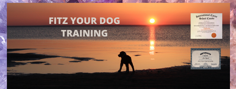 Fitz Your Dog Training, Family Dog Mediator ® | Box 544, 139 Strollway St, Winnipeg Beach, MB R0C 3G0, Canada | Phone: (204) 291-6723