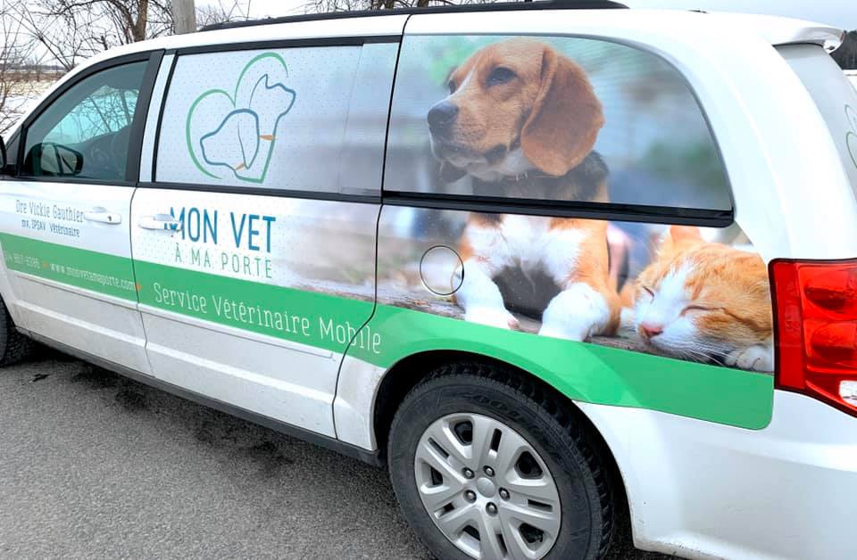 MON VET À MA PORTE; Service Vétérinaire Mobile | P. 562, C, Saint-Chrysostome, QC J0S 1R0, Canada | Phone: (514) 867-8386