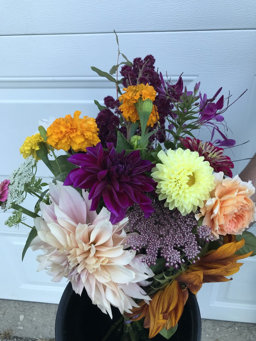 Victoria Hilltop Flowers | 4435 Victoria Rd S, Puslinch, ON N0B 2J0, Canada | Phone: (519) 837-8896