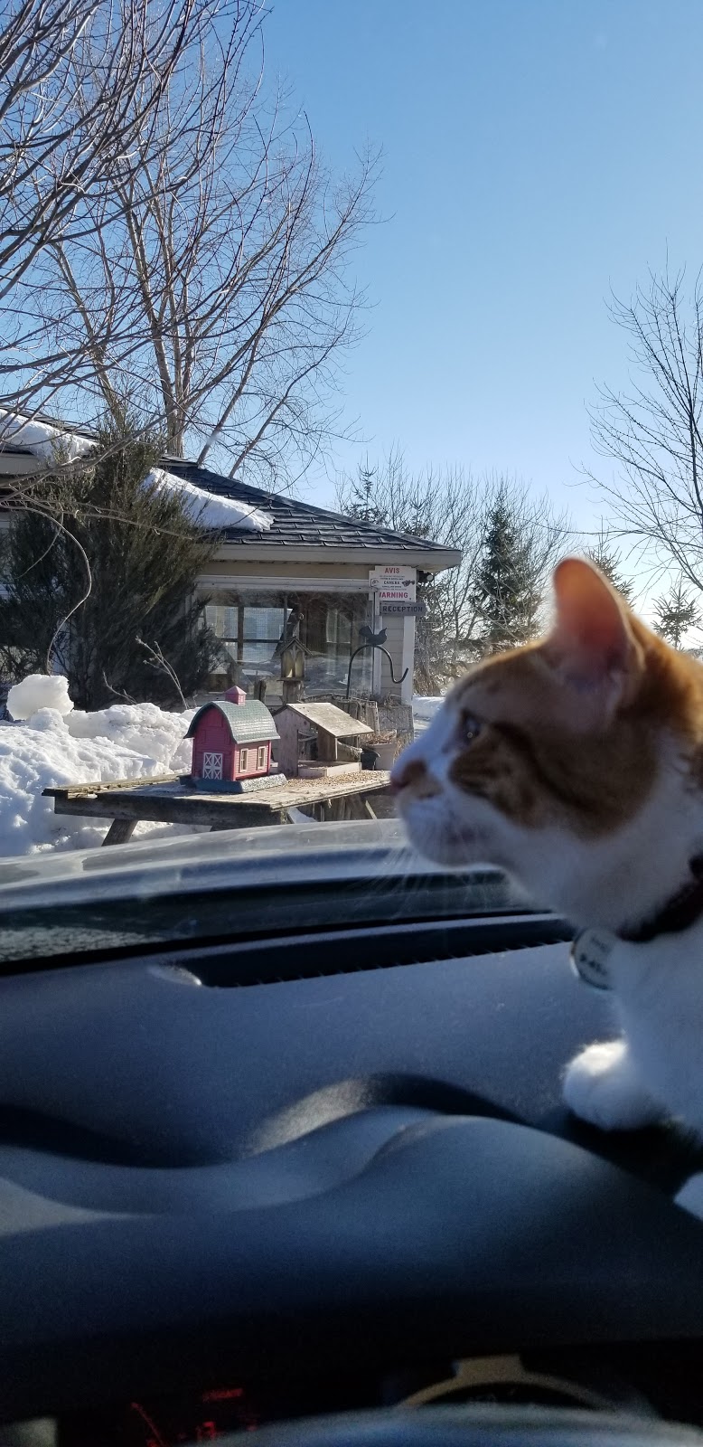 SPCA Montérégie-Rive Sud | 178 Chemin du Vide, Sainte-Angèle-de-Monnoir, QC J0L 1P0, Canada | Phone: (450) 460-3075