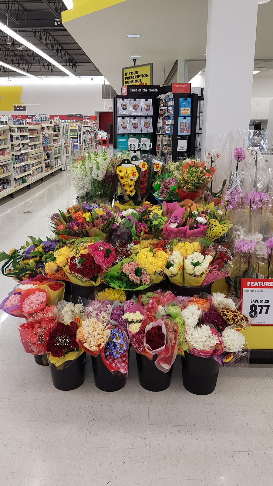 Masses No Frills | 925 Southdale Rd W, London, ON N6P 0B3, Canada | Phone: (866) 987-6453