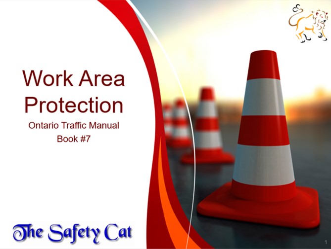 The Safety Cat | 12 Furniss St, Beaverton, ON L0K 1A0, Canada | Phone: (647) 298-2875