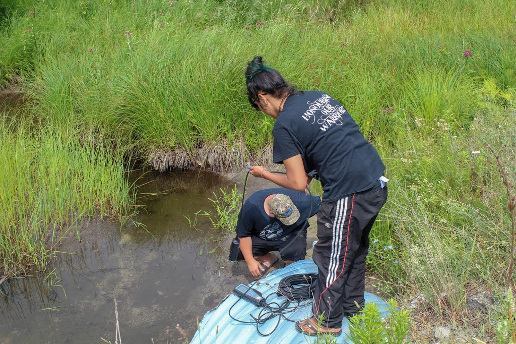 Water First Education & Training Inc. | 178 Mill St Unit D, Creemore, ON L0M 1G0, Canada | Phone: (800) 970-8467