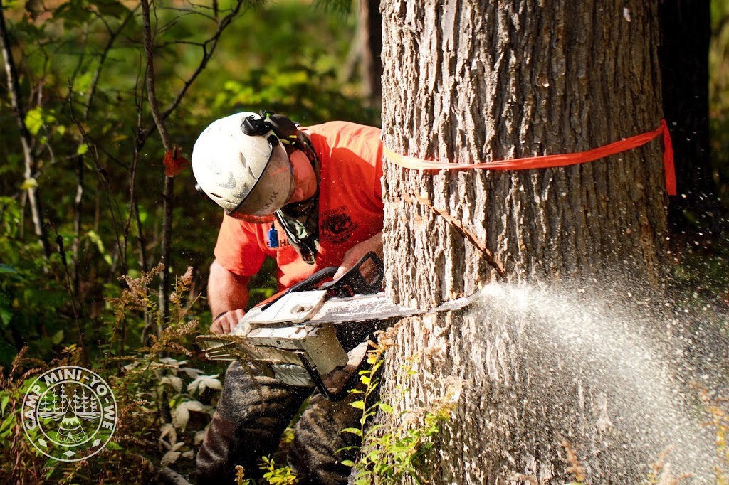 Paton Tree Services | 861 Riverlea Rd, Huntsville, ON P1H 1X5, Canada | Phone: (705) 349-0924