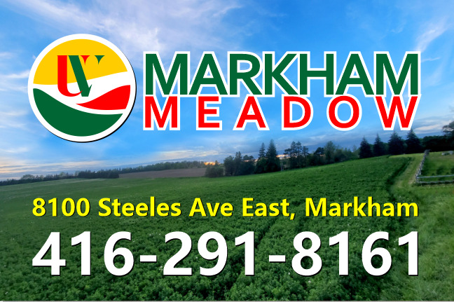 Markham Meadow | 8100 Steeles Ave E, Markham, ON L6B 1A8, Canada | Phone: (416) 291-8161