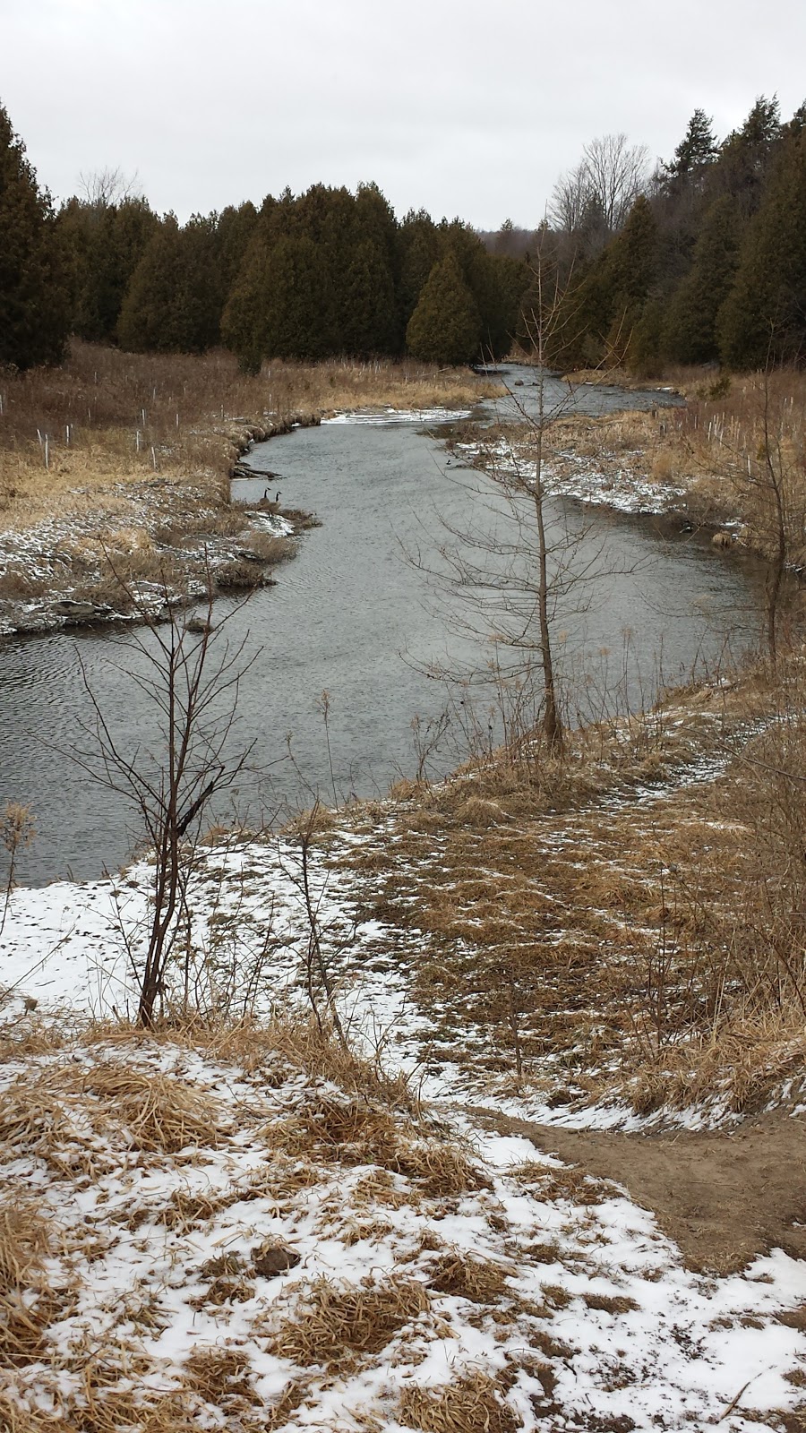 Upper Credit Conservation Area | 20073 Porterfield Rd, Alton, ON L7K 1S9, Canada