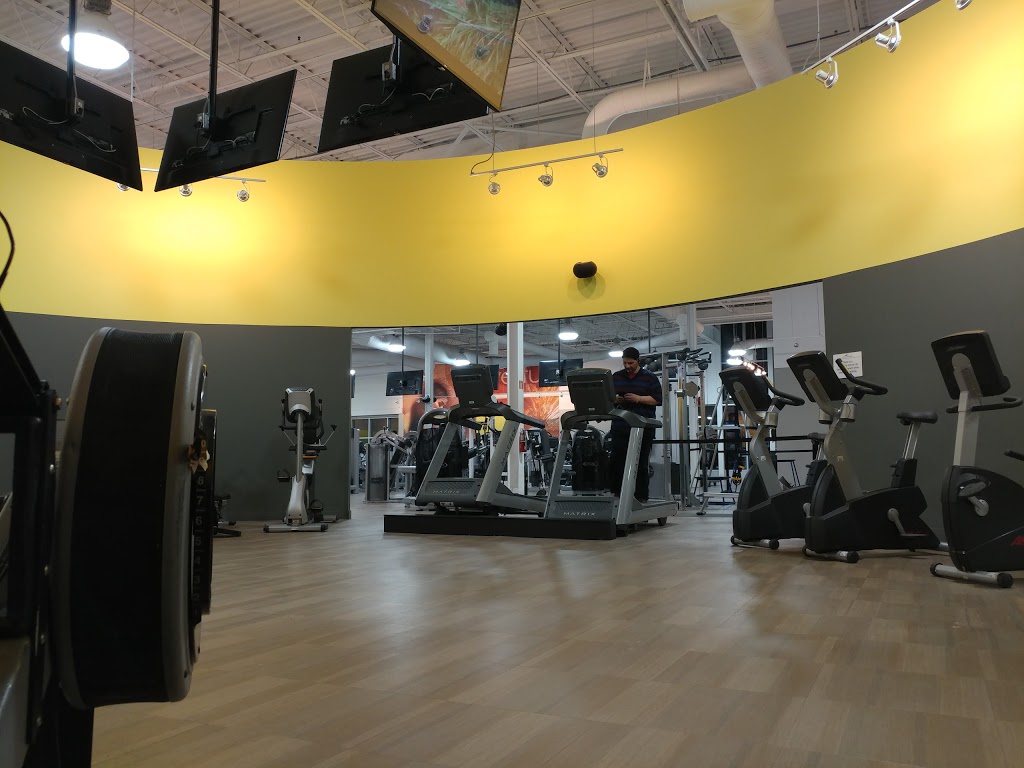 LA Fitness | 539 Steeles Ave E, Brampton, ON L6W 4S2, Canada | Phone: (905) 452-7800