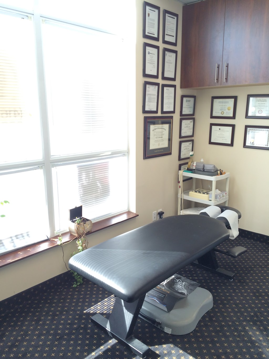 North American Spine Institute | 28 Finch Ave W Suite 212, North York, ON M2N 2G7, Canada | Phone: (647) 991-7246
