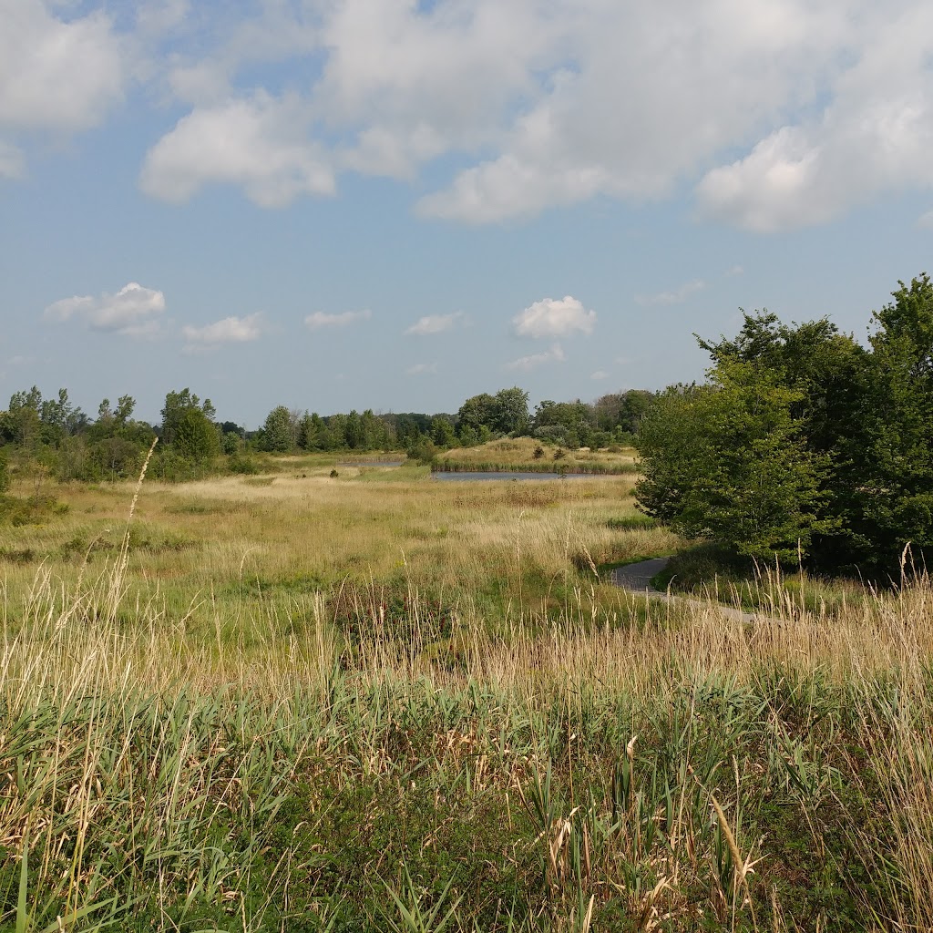 Station Road Naturalization Site | 12028-12036 Station Rd, Wainfleet, ON L0S 1V0, Canada