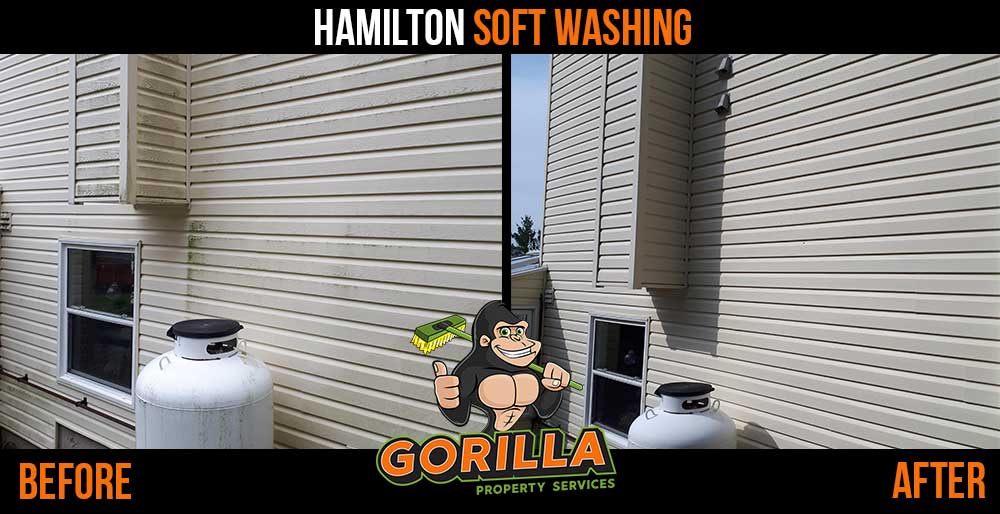 Gorilla Property Services | 2-558 Upper Gage Ave Ste 119, Hamilton, ON L8V 4J6, Canada | Phone: (905) 963-9059