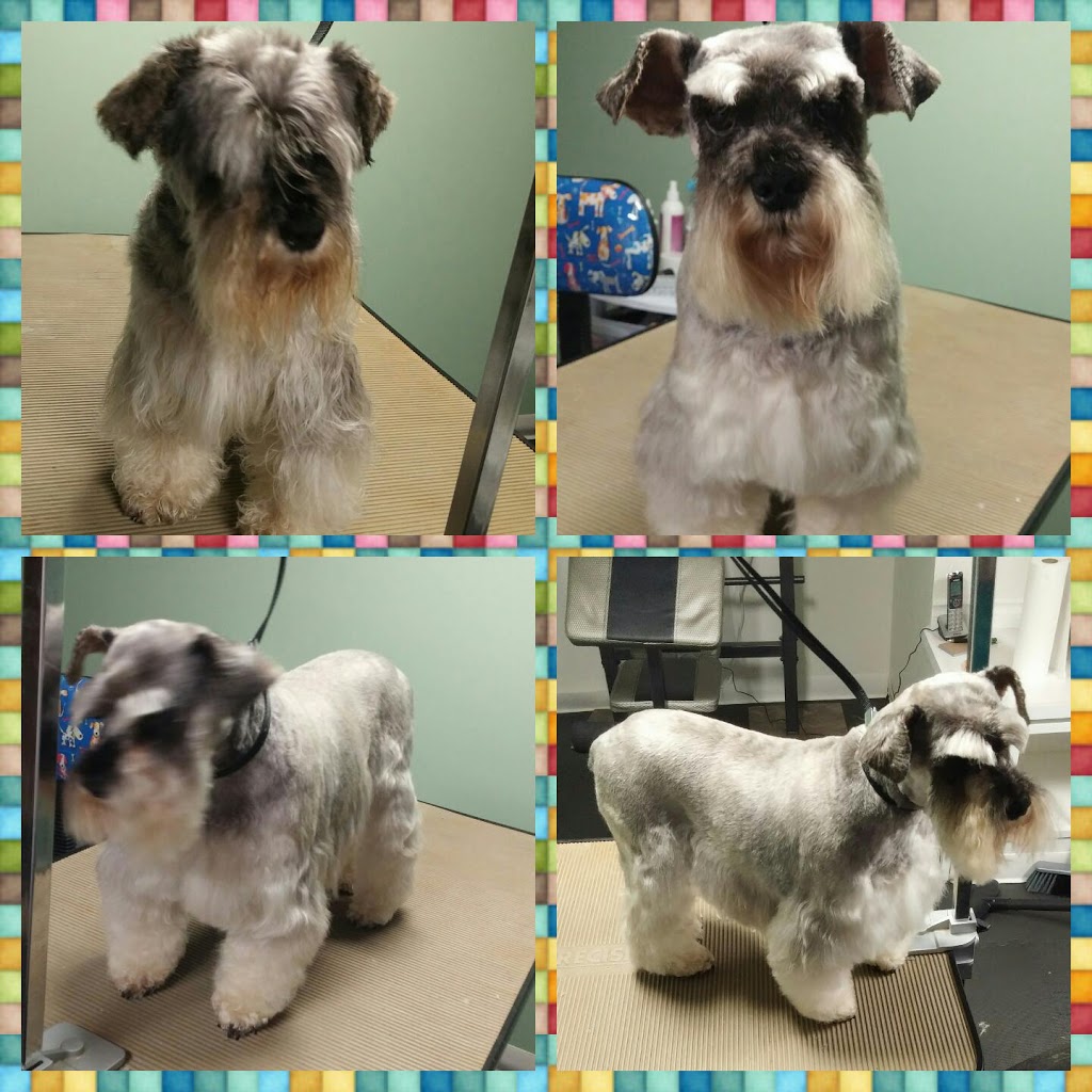 Sit, Stay, Style Dog Grooming | box 2025, Fort QuAppelle, SK S0G 1S0, Canada | Phone: (306) 745-8602