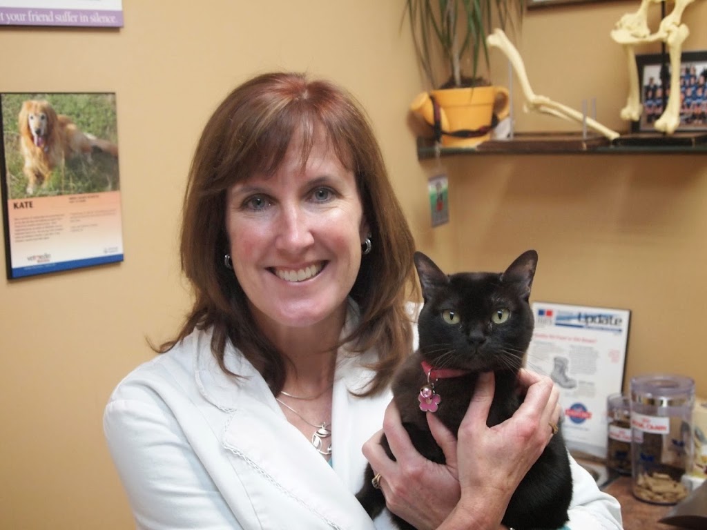 VCA Canada Como Lake Animal Hospital | 1960 Como Lake Ave #156, Coquitlam, BC V3J 3R3, Canada | Phone: (604) 931-7760