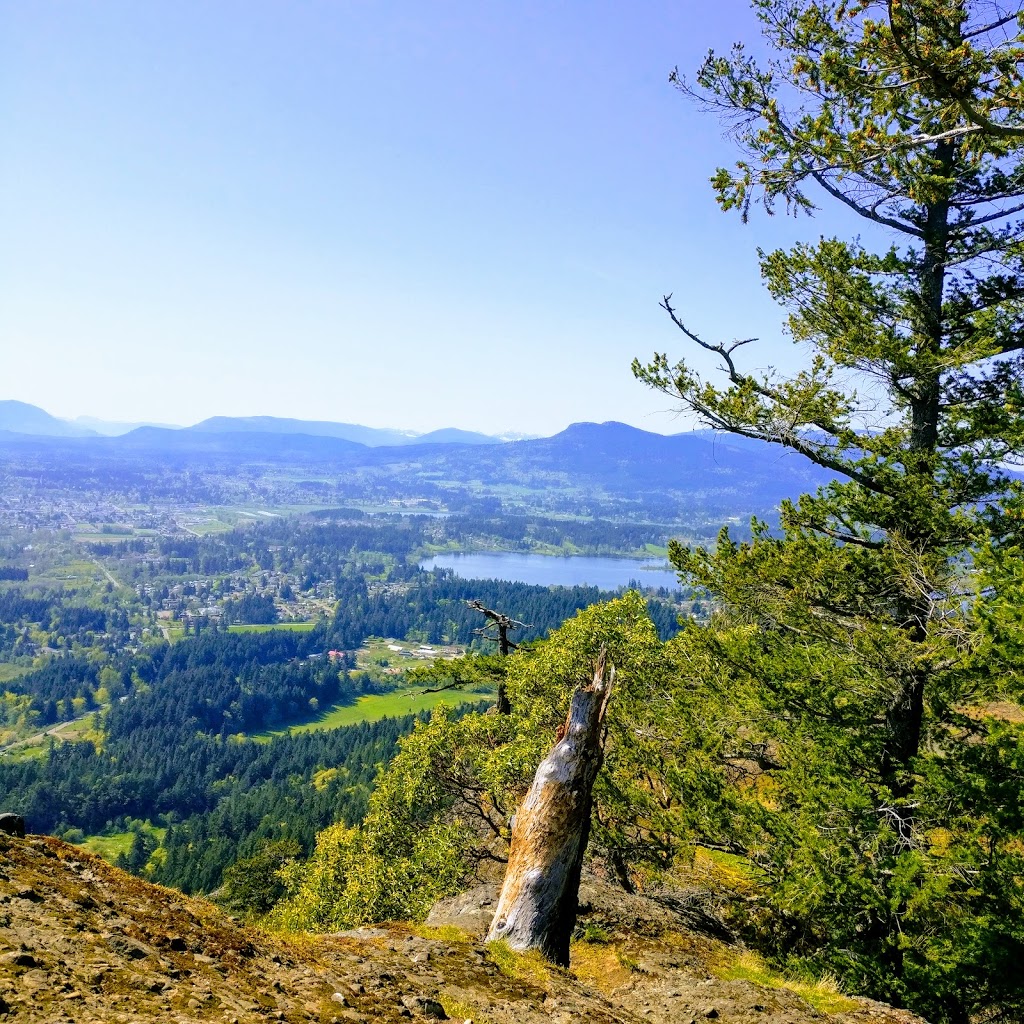 Chase Woods Nature Preserve | North Cowichan, BC V9L 5L4, Canada