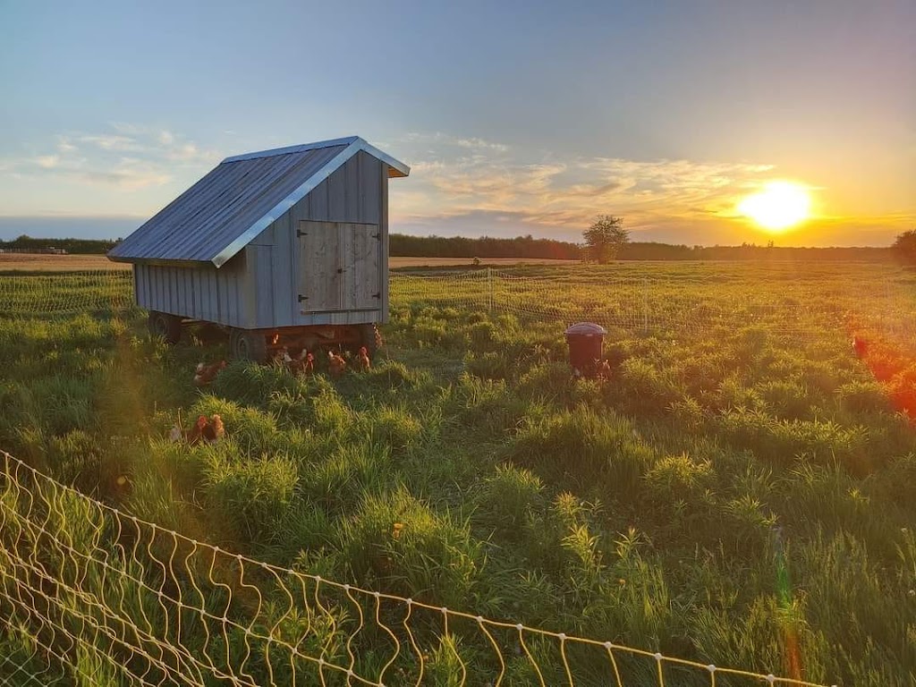 Ferme vie maraîchere inc | 546 Chem. Ville-Marie, Beaumont, QC G0R 1C0, Canada | Phone: (581) 998-8775