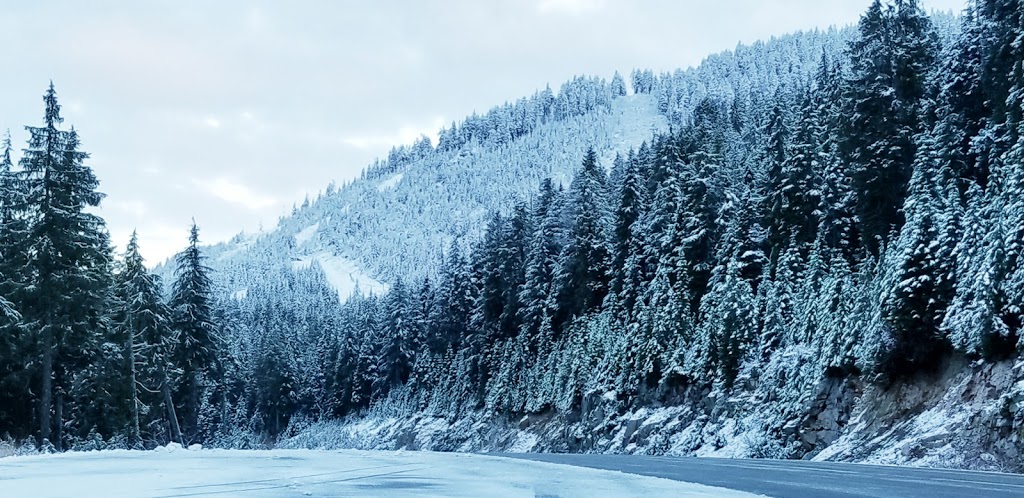 Cypress Provincial Park Picnic Area | West Vancouver, BC V0N 1G0, Canada