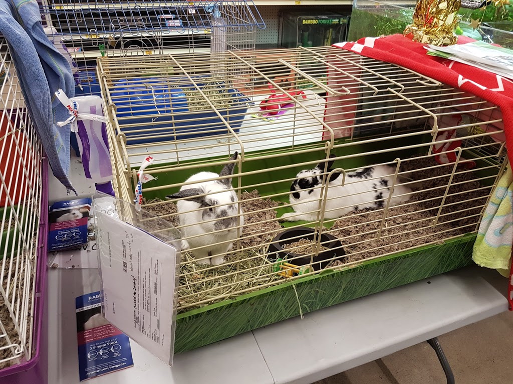 PetSmart | 33 Mapleview Dr W, Barrie, ON L4N 9H5, Canada | Phone: (705) 722-0337