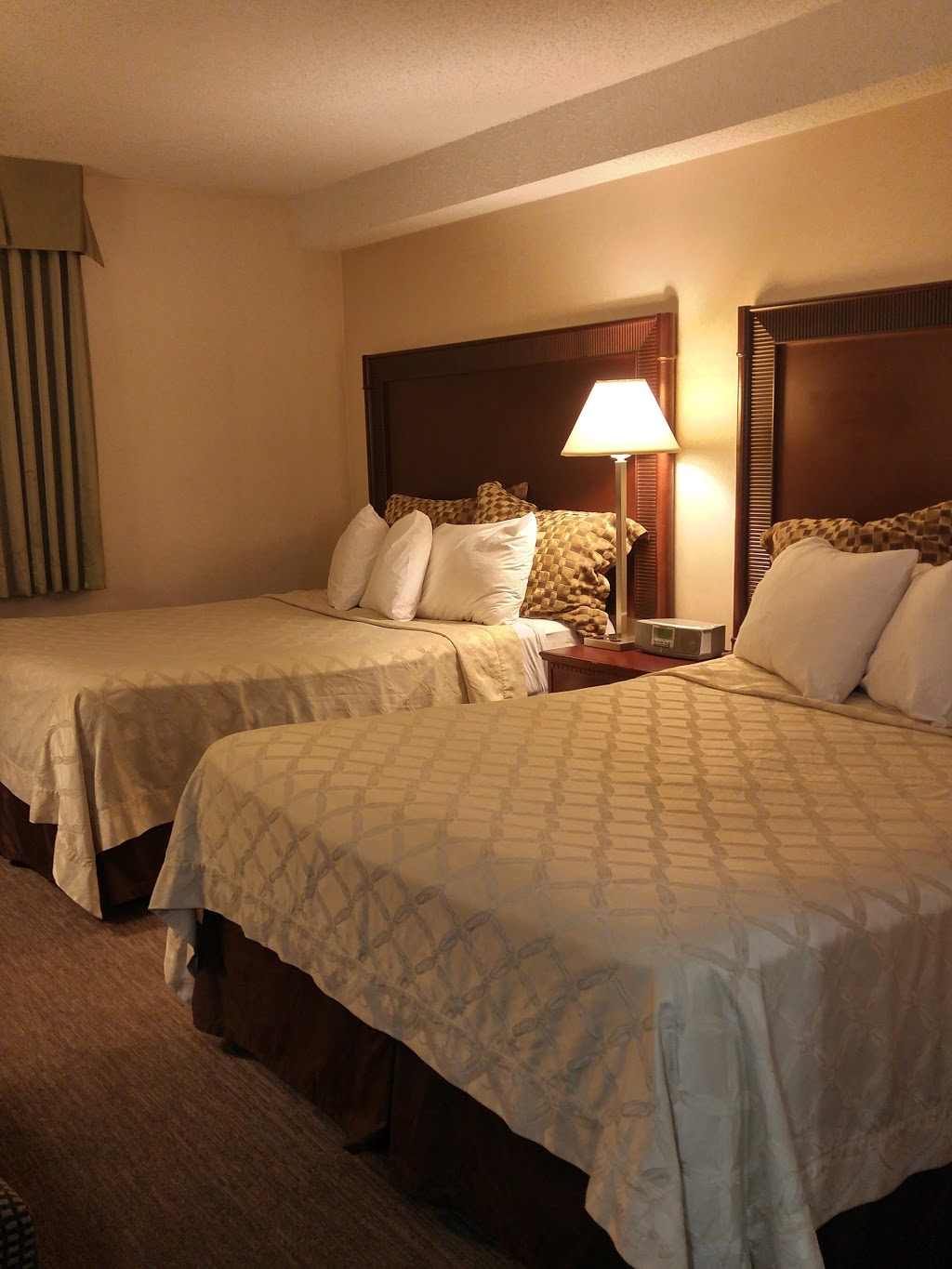 Travelodge Hotel by Wyndham Vancouver Airport | 3071 St Edwards Dr, Richmond, BC V6X 3K4, Canada | Phone: (604) 278-5155
