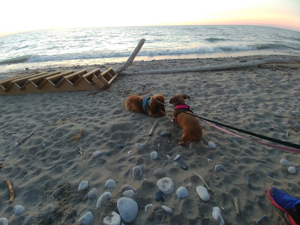 Pinery Dog Beach/Day Use Area 2 | 26 Sideroad, Grand Bend, ON N0M 1T0, Canada