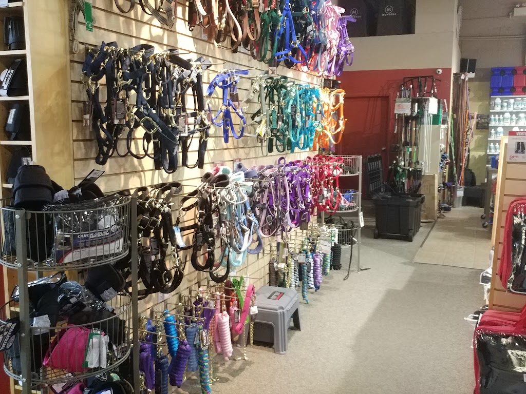 Greenhawk Equestrian Sport - Boucherville | 1200 Pl. Nobel, Boucherville, QC J4B 5L2, Canada | Phone: (450) 655-7111