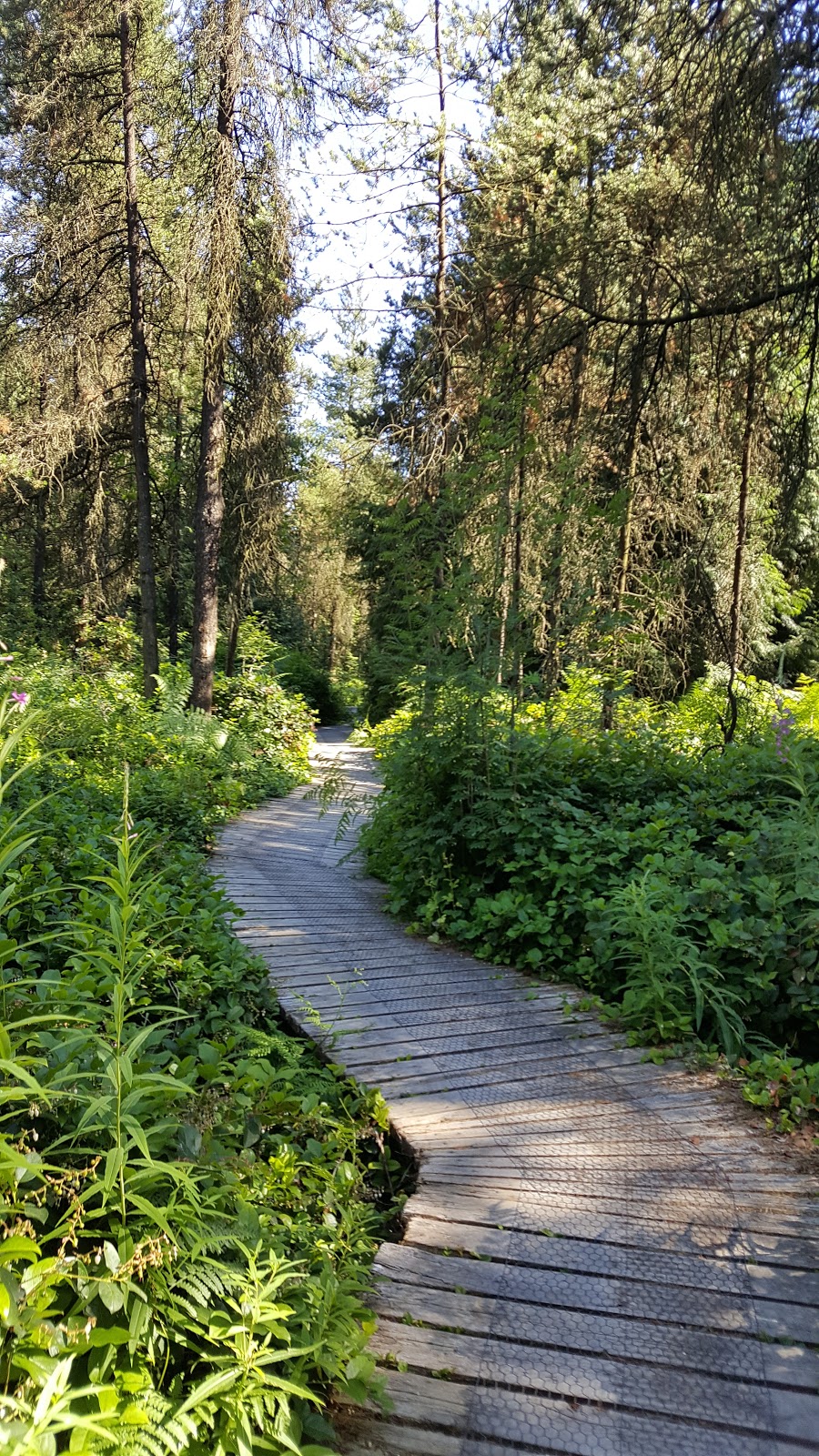 Burns Bog Delta Nature Reserve | Nordel Ct, Delta, BC V4G 1J7, Canada | Phone: (604) 572-0373