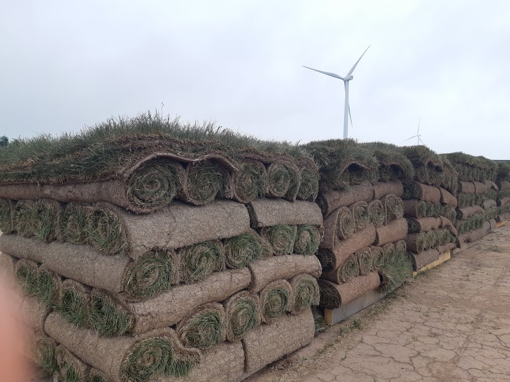 Maritime Sod (by Amherst Sod Ltd) FARM | 95 NS-6, Amherst, NS B4H 3Y4, Canada | Phone: (902) 667-7413