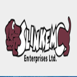 Slinkemo Enterprises Ltd - Container Handling Drayage Delivery,  | 2099 Fleming Rd, Regina, SK S4M 0A1, Canada | Phone: (306) 529-6205