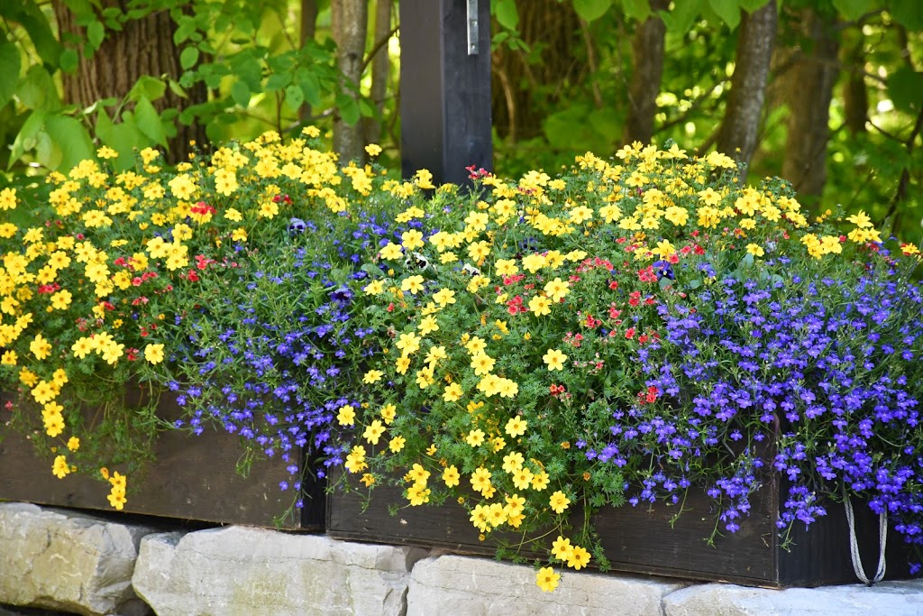 Rangers Greenhouses | 400 Richardson Rd RR 4, Hastings, ON K0L 1Y0, Canada | Phone: (705) 696-3350