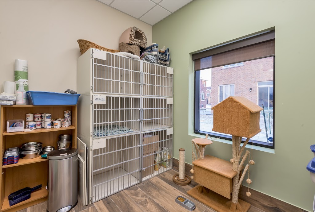 LeGallais Veterinary Hospital | 25 William Graham Dr Unit 5B, Aurora, ON L4G 3G3, Canada | Phone: (905) 713-2366