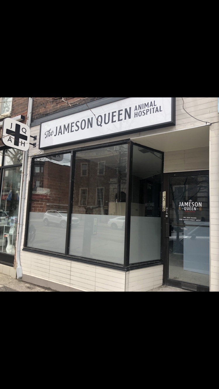 Jameson Queen Animal Hospital | 1516 Queen St W, Toronto, ON M6R 1A4, Canada | Phone: (647) 812-2627