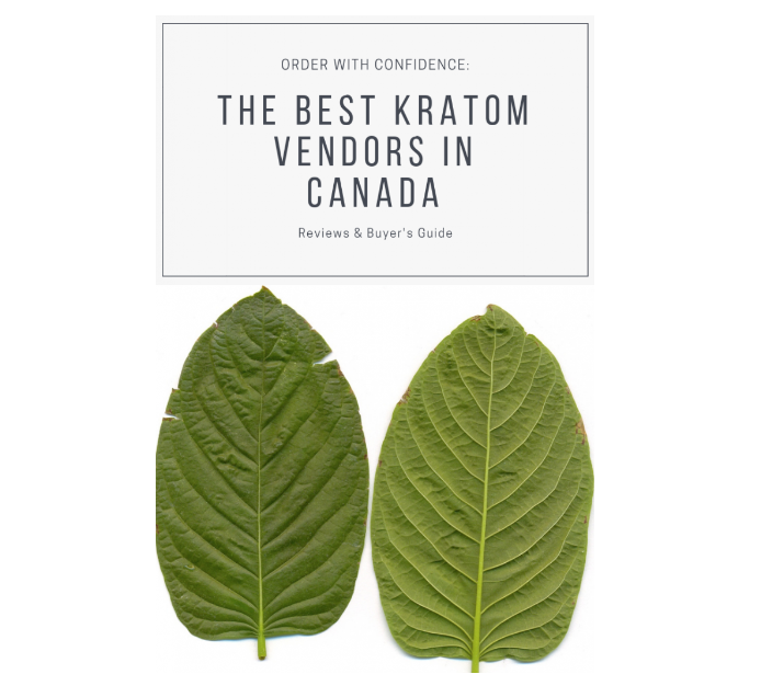 Kratom Temple | 406- 3583 Sheppard Ave E, Scarborough, ON M1T 3K8, Canada