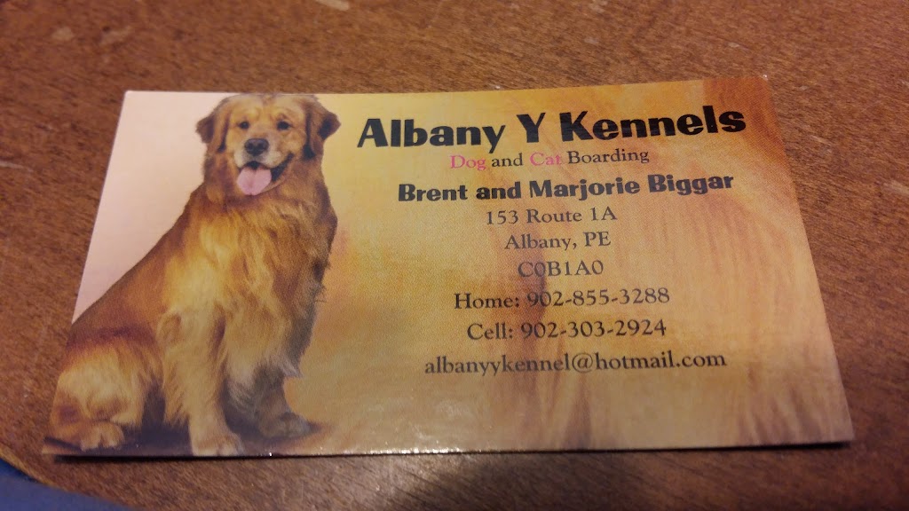 Albany Y Kennels | 153 PE-1A, Albany, PE C0B 1A0, Canada | Phone: (902) 855-3288