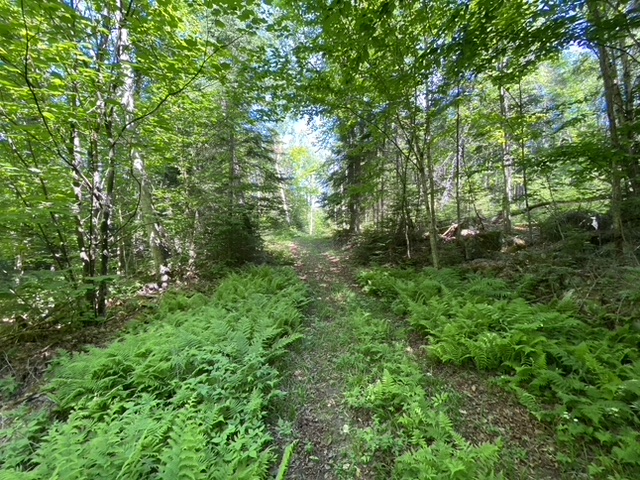 Eagles Ridge | Chemin des Guides, Rivière-Rouge, QC J0T 1T0, Canada | Phone: (514) 730-5571