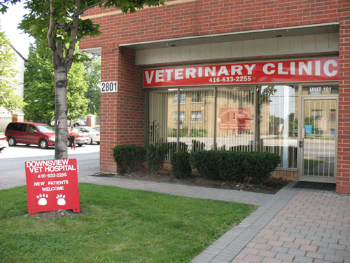 Downsview Veterinary Hospital | 2801 Keele St, North York, ON M3M 2G6, Canada | Phone: (416) 633-2255