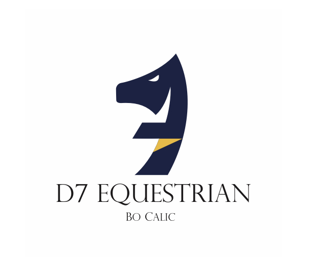 D7 Equestrian | 8285 Guelph Line, Campbellville, ON L0P 1B0, Canada | Phone: (416) 475-3754